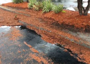 Is rubber mulch cheaper than wood mulch?
