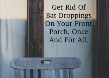how to get rid of bats on my porch