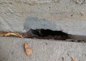 hole in foundation wall