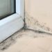 Is the mold on my window sill dangerous?
