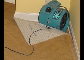 drying out flooded basement carpet