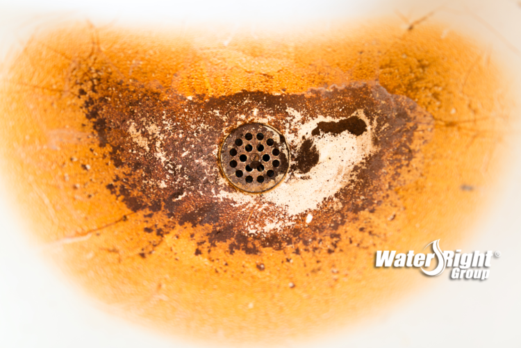 What is the best water softener to remove iron?
