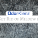 how to get rid of mildew in carpet