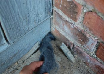 caulk to keep mice out