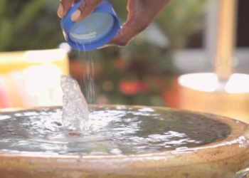 how to clean a water fountain